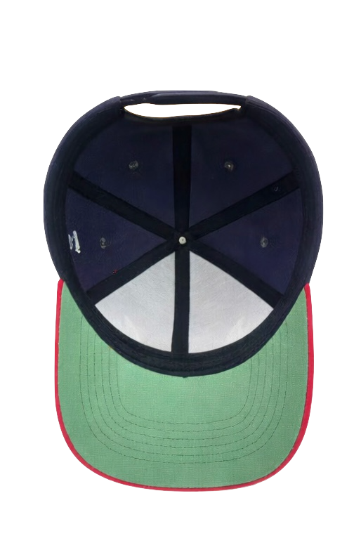 Mirror Canvas Cap